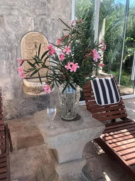 Chambre Chez L'Habitant Terrasse Privee Piscine Marseille Homestay